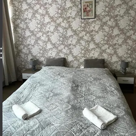 Zimmervermietung Zentrum Bed & Breakfast Freiberg